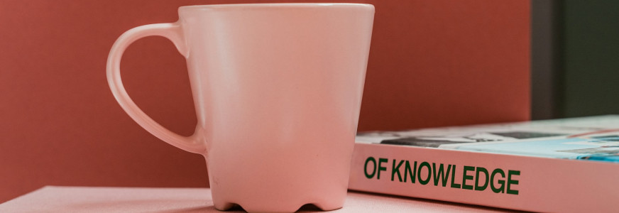 Denk mee over Richtlijnen voor het Sociaal Werk! Denk mee over Richtlijnen voor het Sociaal Werk!